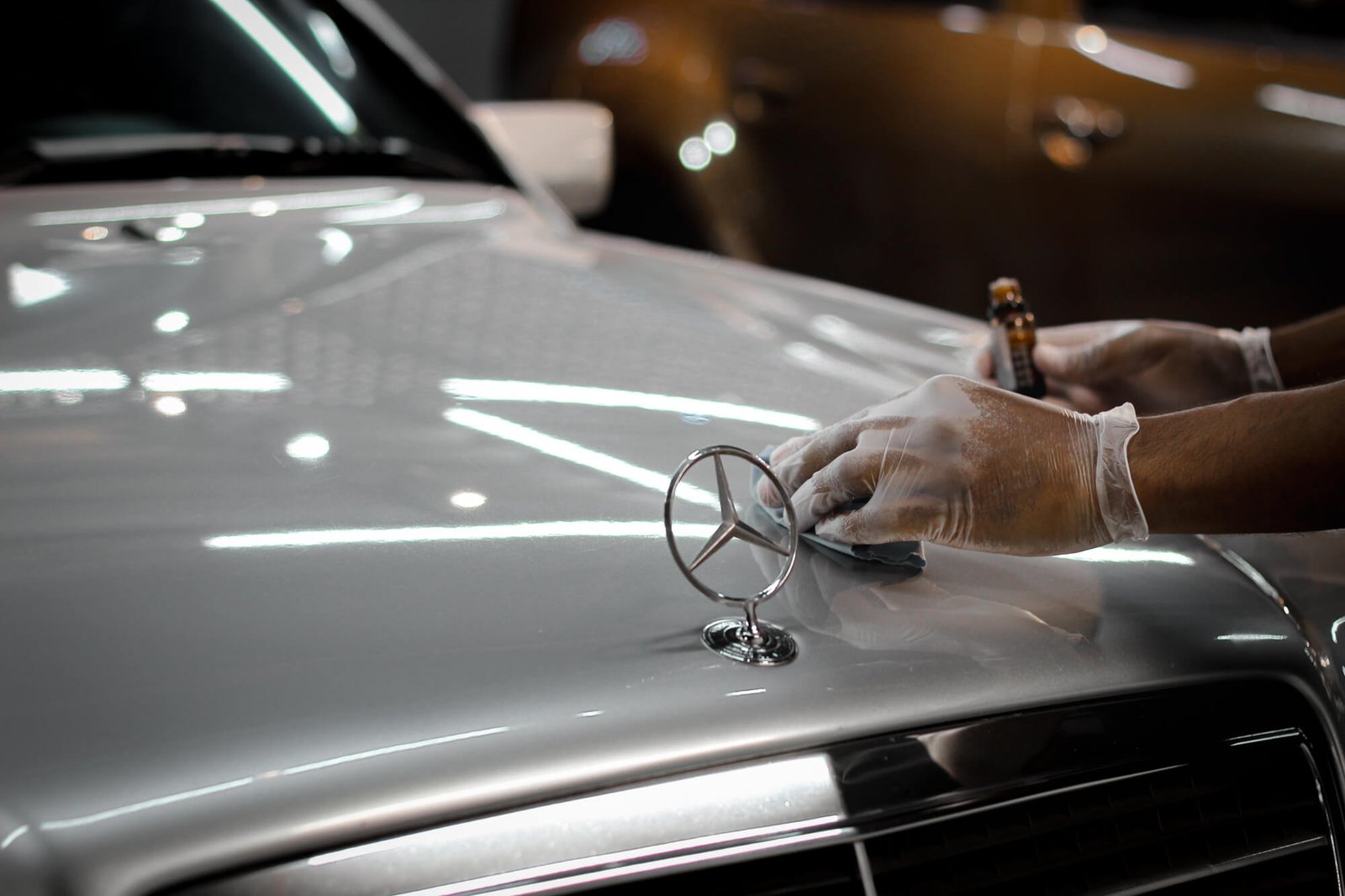 Vitrificação de Pintura Nacional